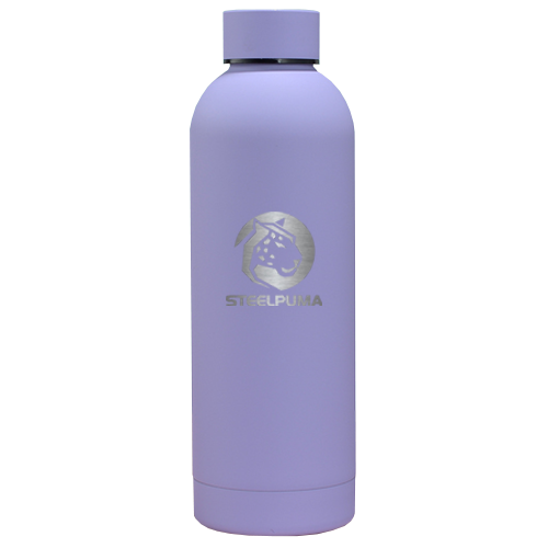 stainless steel 500ml water bottle factory in China